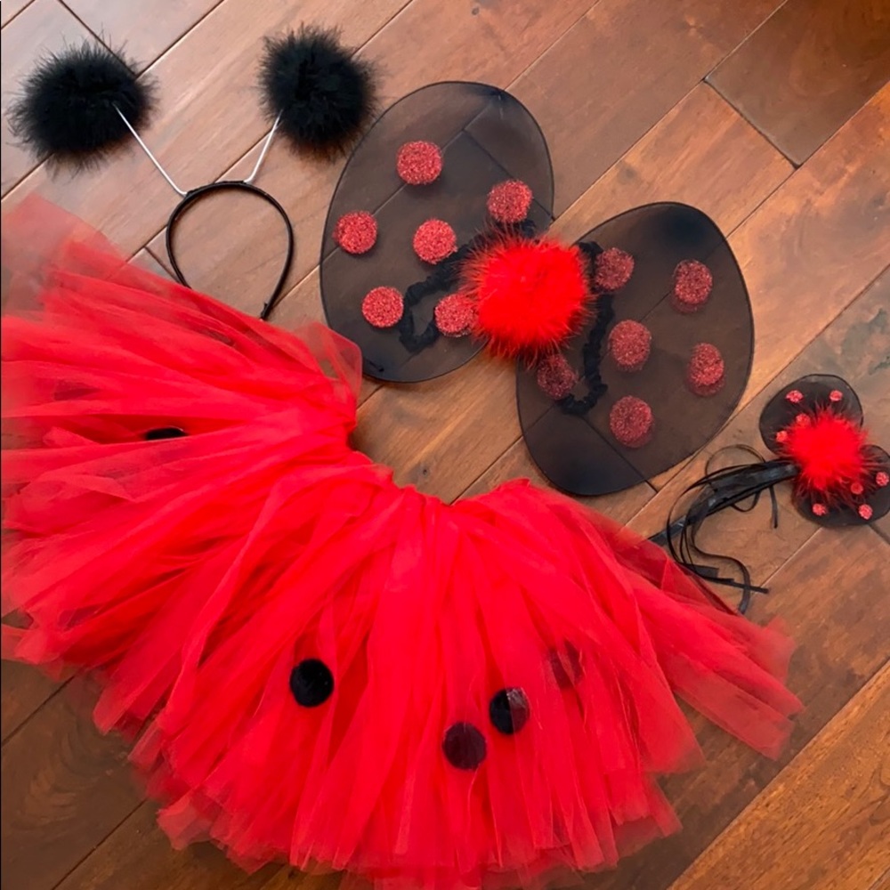 Ladybug fairy costume